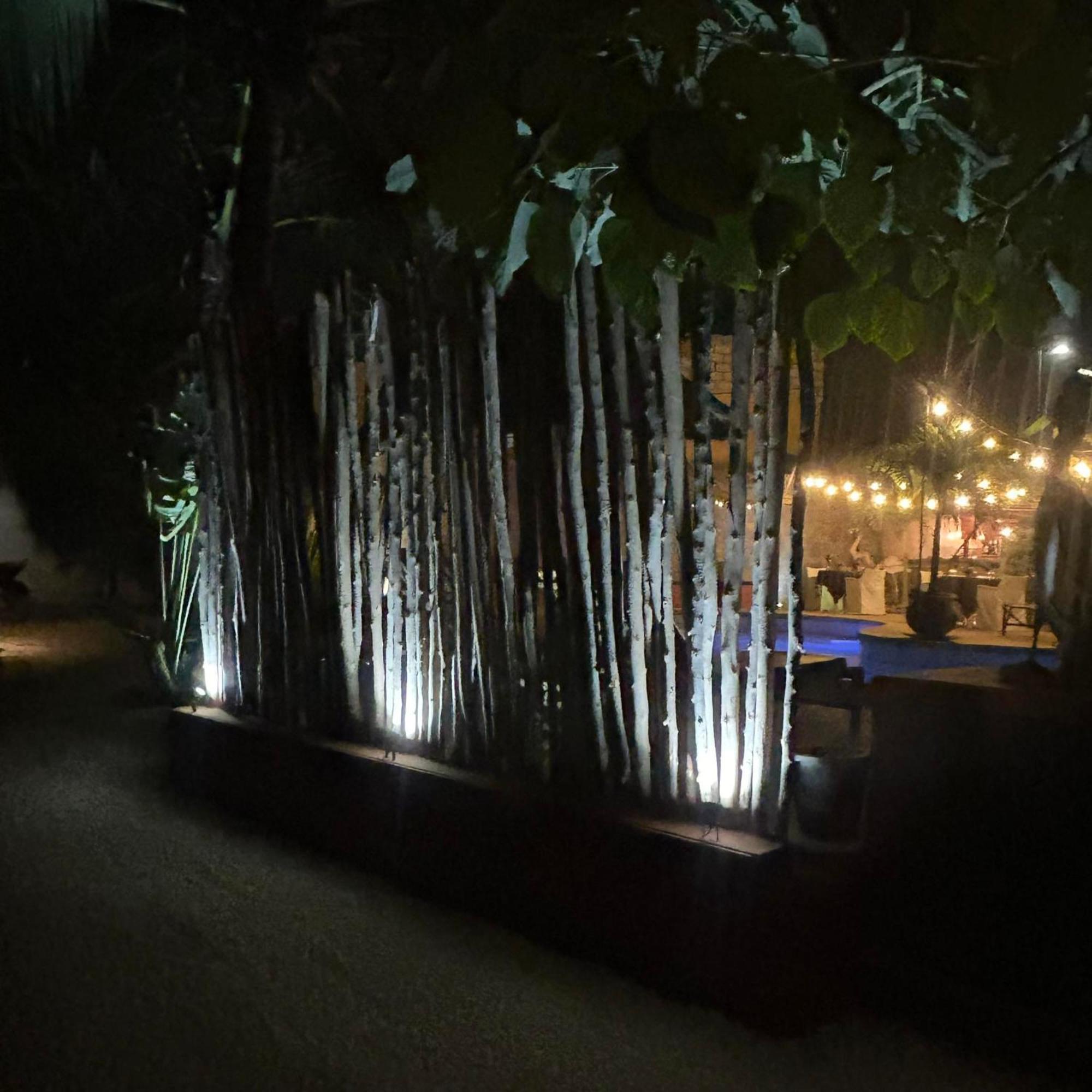 Auberge Keurmariguen Somone Exteriör bild